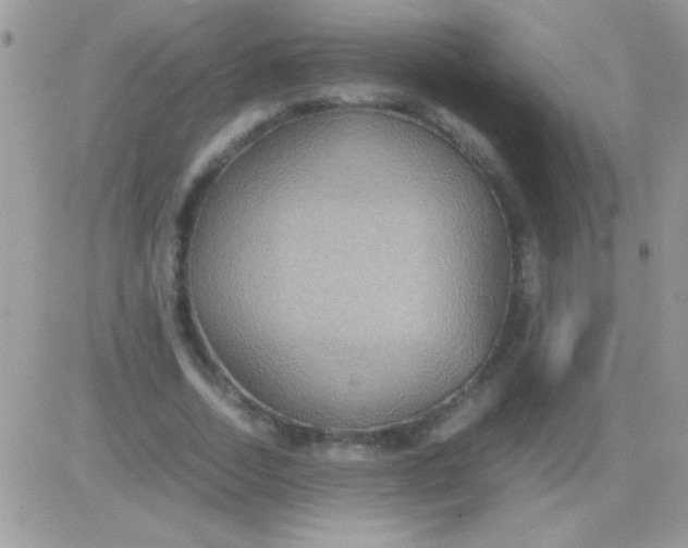 X0000081370730200701252013