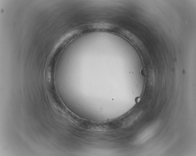 X0000081370731200701252013