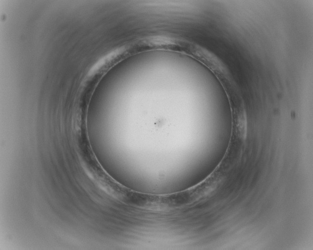 X0000081370732200701252013