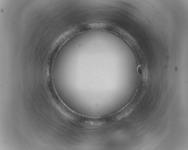 X0000081370733200701252013