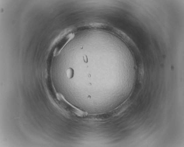 X0000081370734200701252013