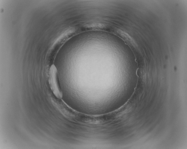 X0000081370735200701252013