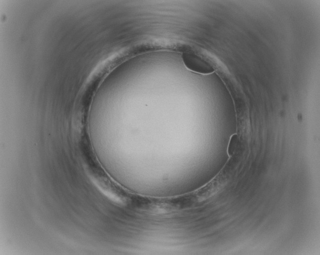 X0000081370736200701252013