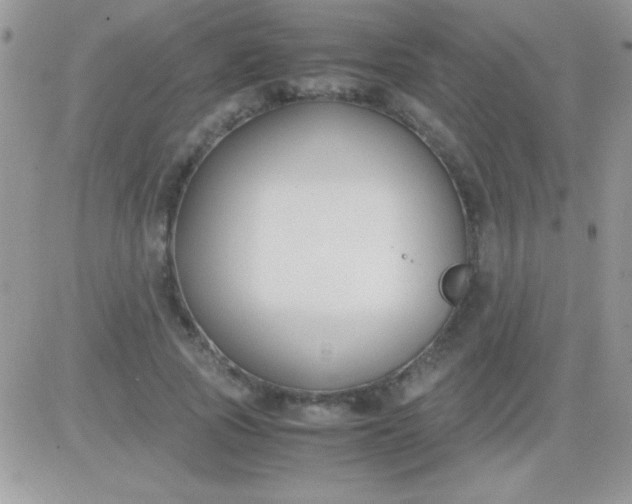 X0000081370737200701252013