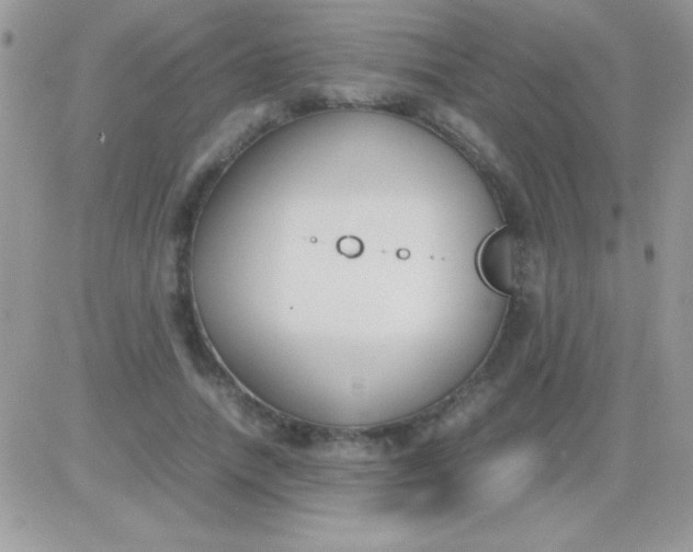 X0000081370738200701252013