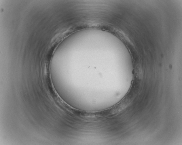 X0000081370740200701252013