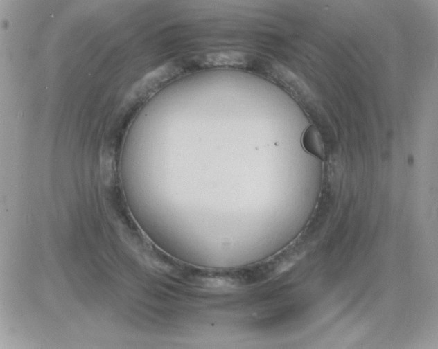 X0000081370741200701252014