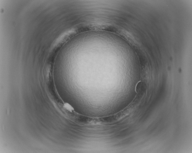 X0000081370742200701252014