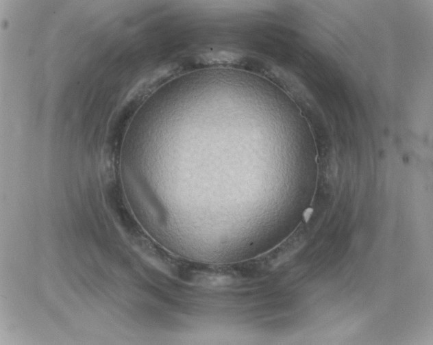 X0000081370743200701252014