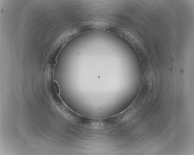 X0000081370744200701252014