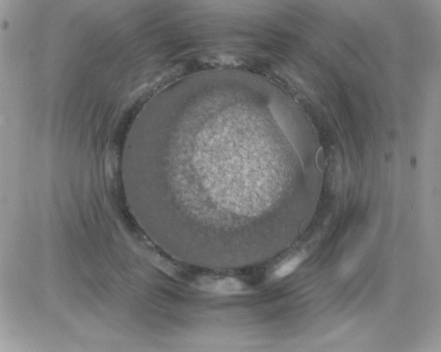 X0000081370747200701252014