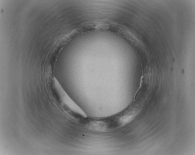 X0000081370748200701252014