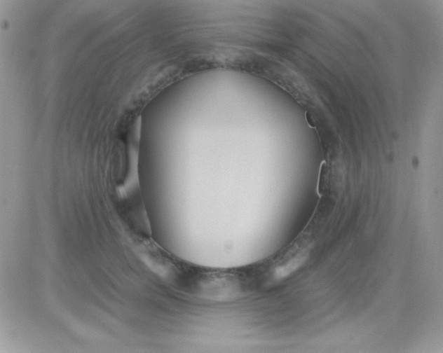 X0000081370750200701252014