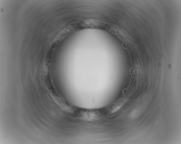 X0000081370751200701252014