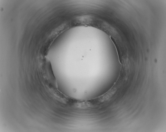 X0000081370752200701252014