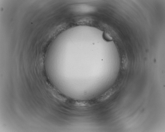 X0000081370753200701252014