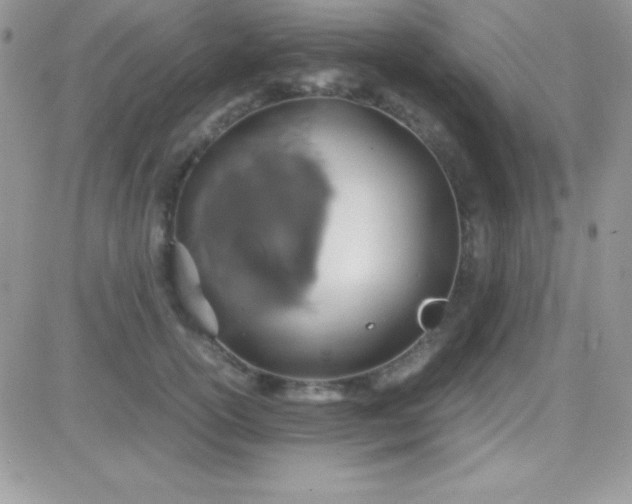 X0000081370754200701252014