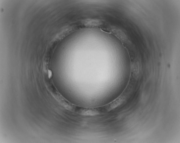 X0000081370755200701252014