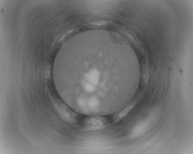 X0000081370758200701252014