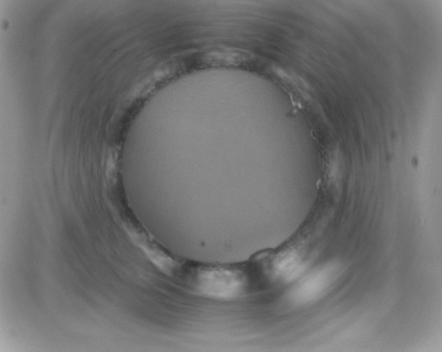 X0000081370759200701252014