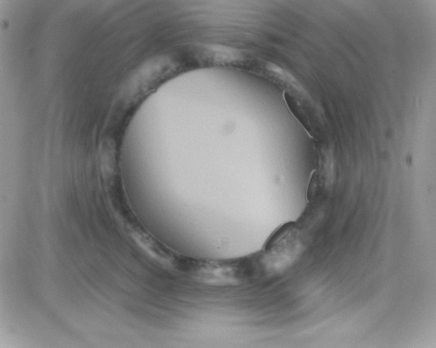 X0000081370760200701252014