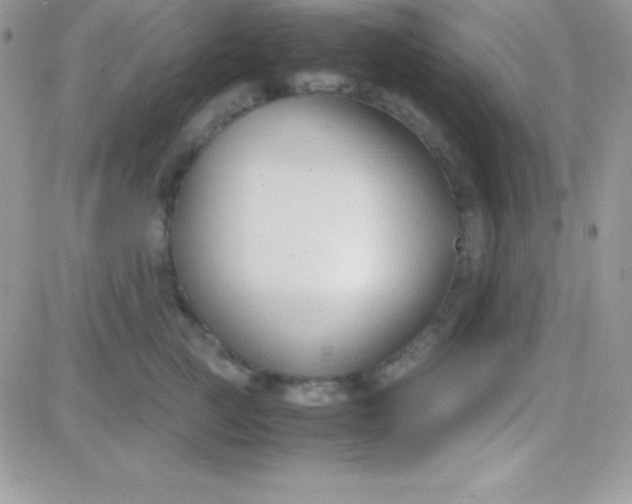 X0000081370761200701252014