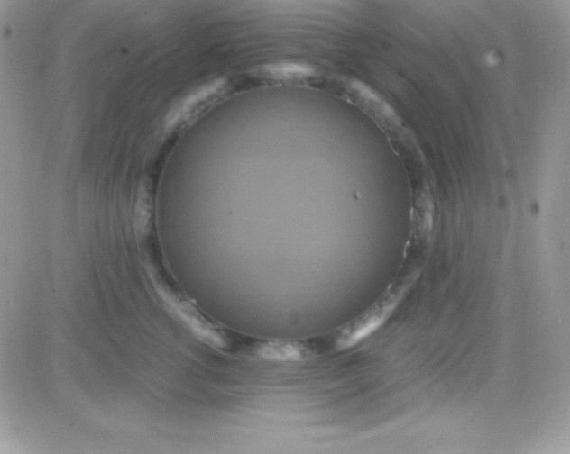 X0000081370762200701252014