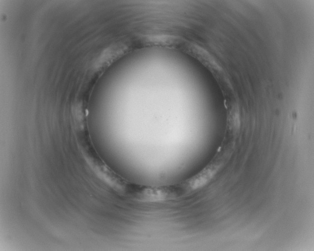 X0000081370764200701252014