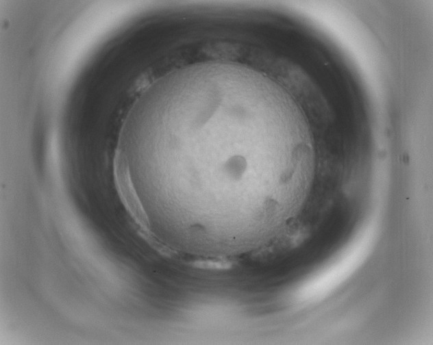 X0000081370765200701252014