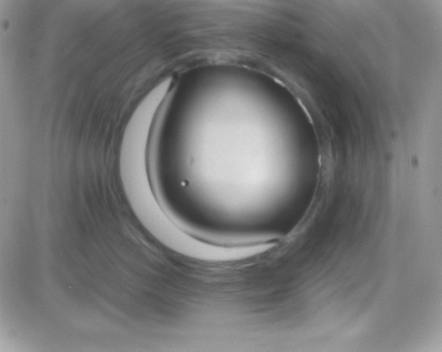 X0000081370766200701252014