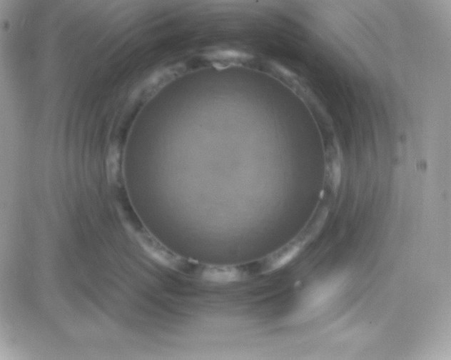 X0000081370767200701252014