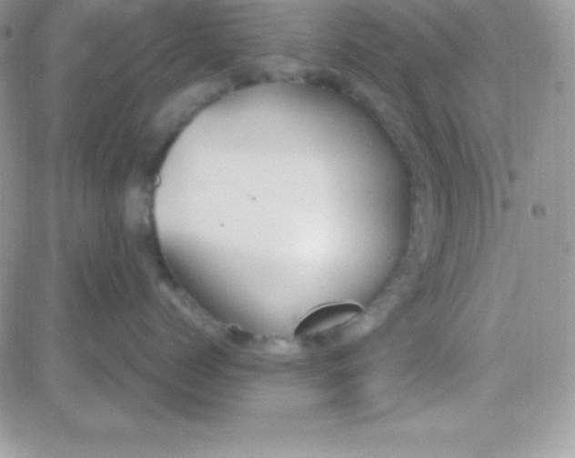 X0000081370768200701252014