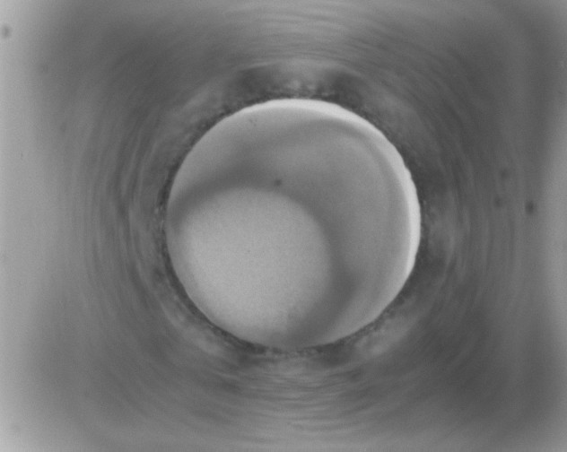 X0000081370769200701252013