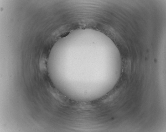 X0000081370770200701252013