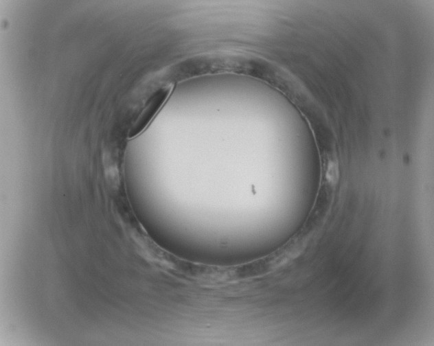 X0000081370771200701252013