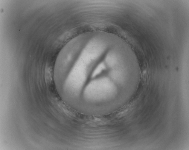 X0000081370772200701252013