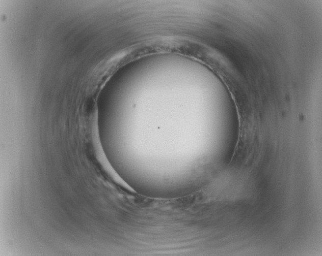 X0000081370773200701252013