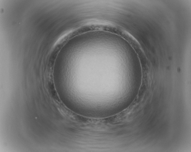 X0000081370775200701252013