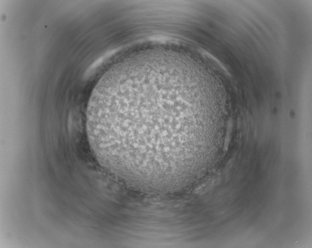 X0000081370776200701252013