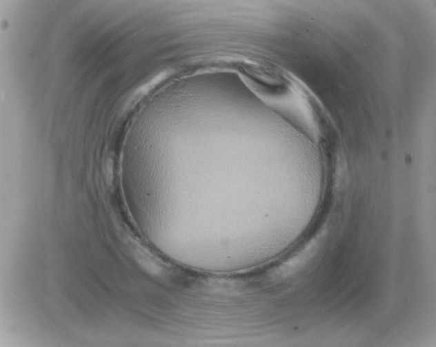 X0000081370777200701252013