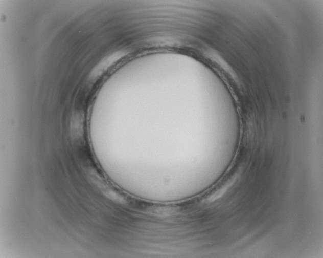 X0000081370778200701252013