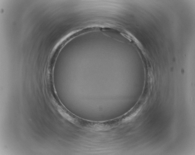 X0000081370779200701252013