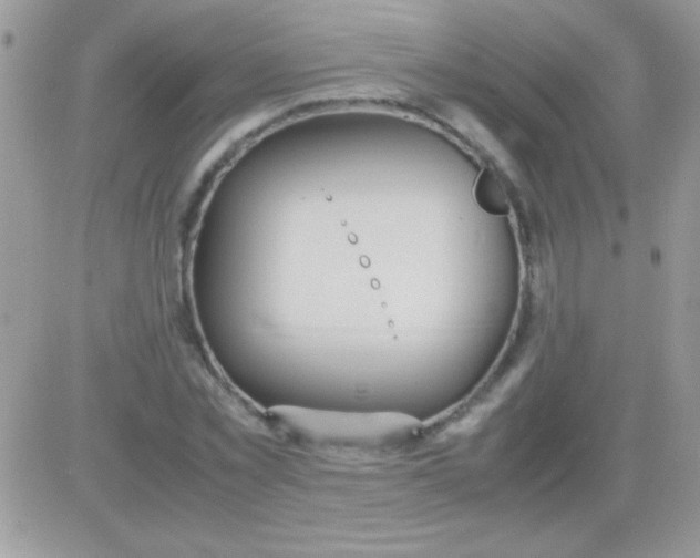 X0000081370781200701252013