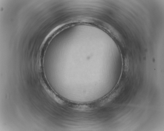 X0000081370784200701252013