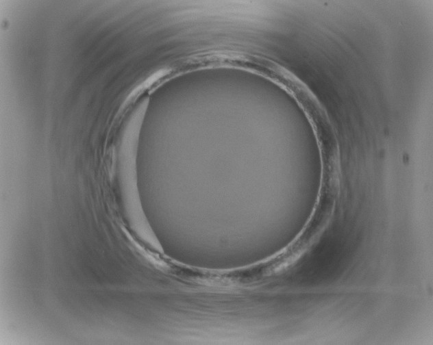 X0000081370785200701252013