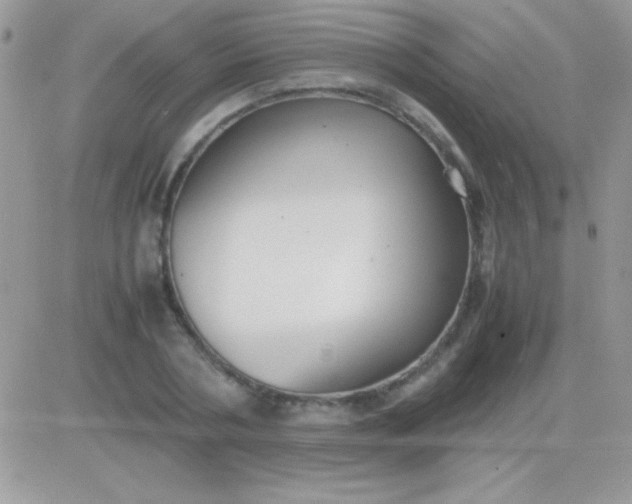 X0000081370786200701252013