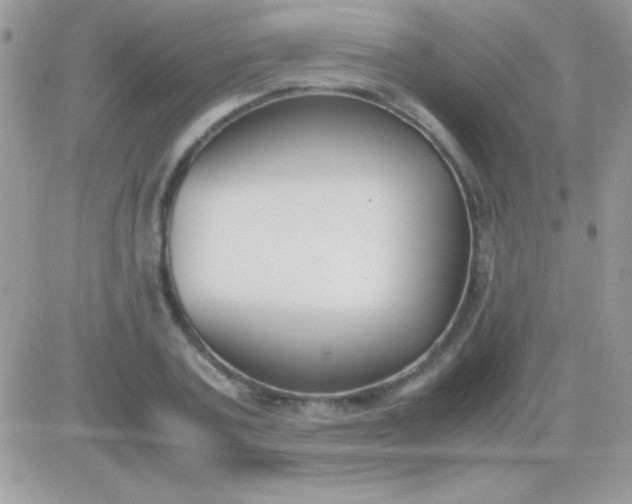 X0000081370787200701252013