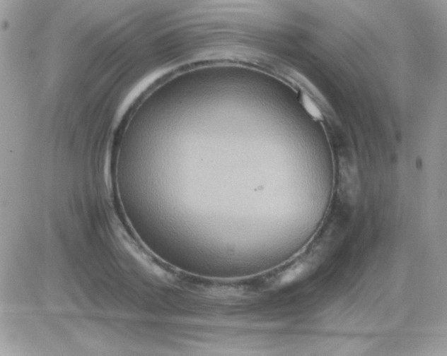 X0000081370788200701252013