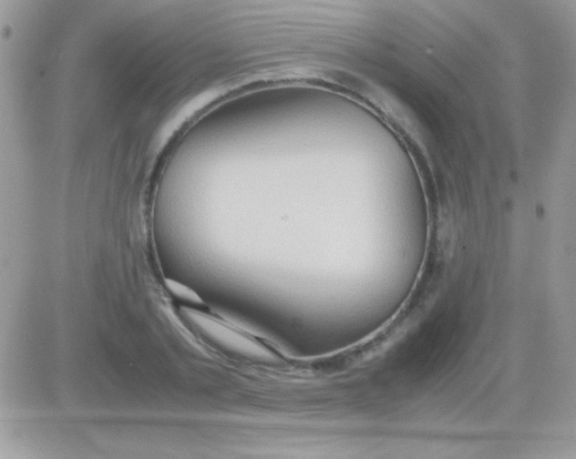 X0000081370789200701252013