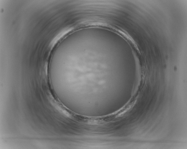 X0000081370790200701252013